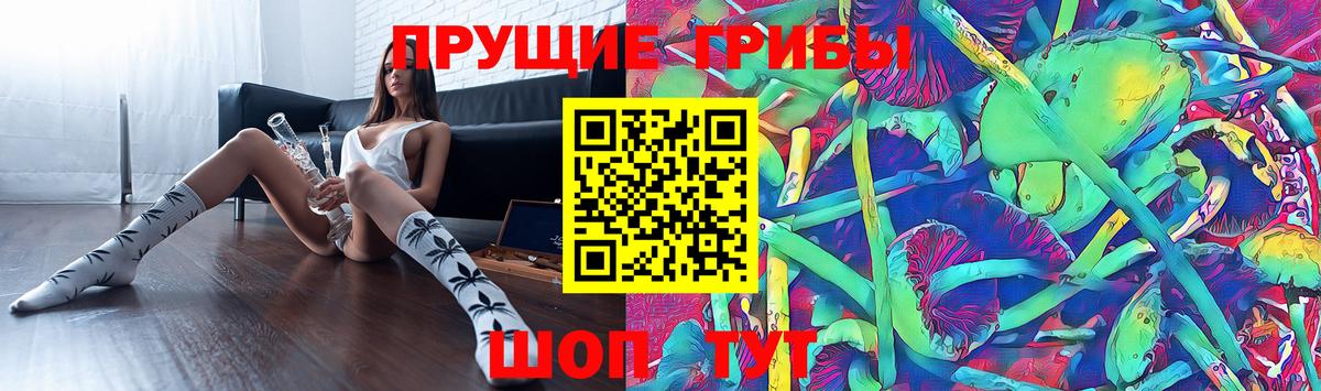 Долгопрудный  Галлюциногенные грибы прущие грибы  Вход с VPN 