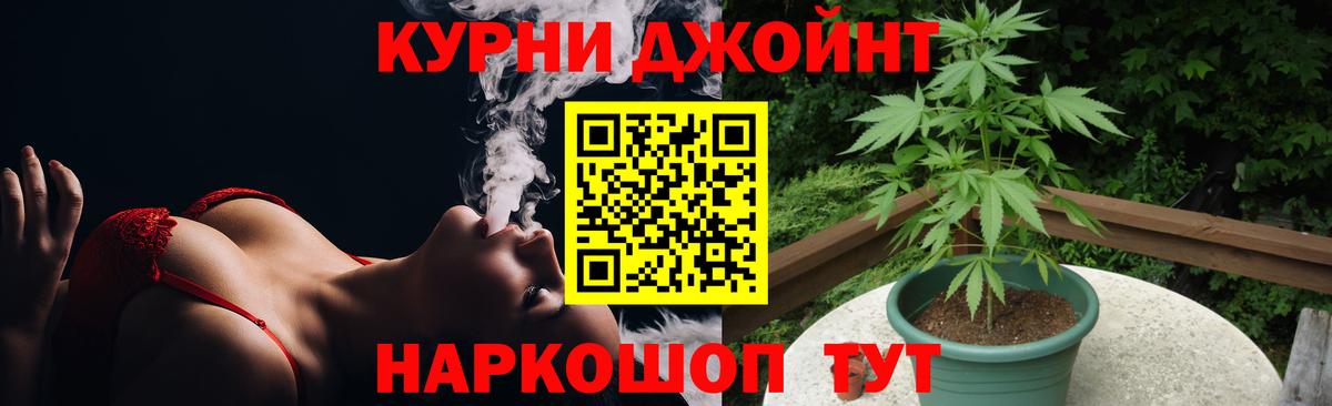 Бошки Шишки SATIVA & INDICA  МАРИХУАНА индика  Конопля сатива  Вход с VPN  Долгопрудный  Каннабис план 